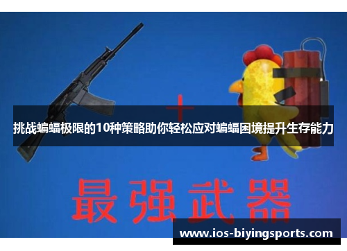 挑战蝙蝠极限的10种策略助你轻松应对蝙蝠困境提升生存能力