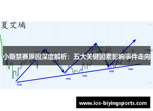 小斯禁赛原因深度解析：五大关键因素影响事件走向