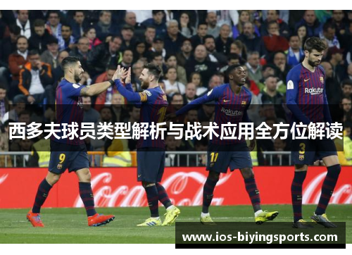 西多夫球员类型解析与战术应用全方位解读