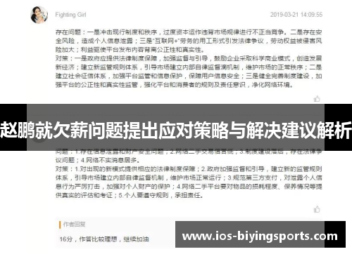 赵鹏就欠薪问题提出应对策略与解决建议解析 赵鹏就欠薪问题提出应对策略与解决建议解析