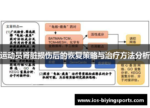 运动员肾脏损伤后的恢复策略与治疗方法分析