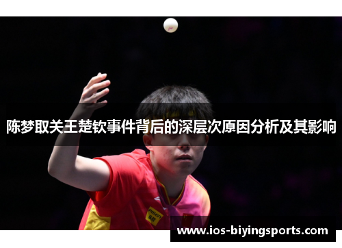 陈梦取关王楚钦事件背后的深层次原因分析及其影响