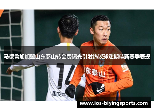 马德鲁加加盟山东泰山转会费曝光引发热议球迷期待新赛季表现